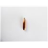 Image 3 : SPEER .270 CALIBER BULLETS LOT