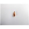 Image 3 : NOSLER .20 CALIBER BULLET SLOT