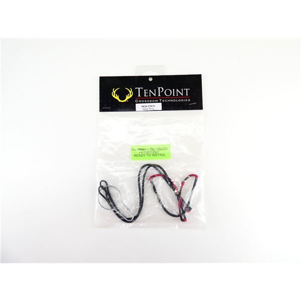 TEN POINT HCA-11813 VAPOR STRING LOT