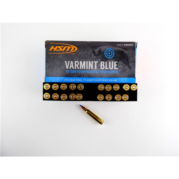 HSM VARMINT BLUE .223 REM AMMO LOT