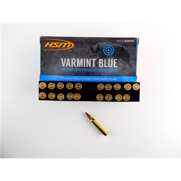 HSM VARMINT BLUE .223 REM AMMO LOT