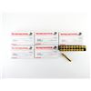 Image 1 : WINCHESTER .223 REM AMMO LOT