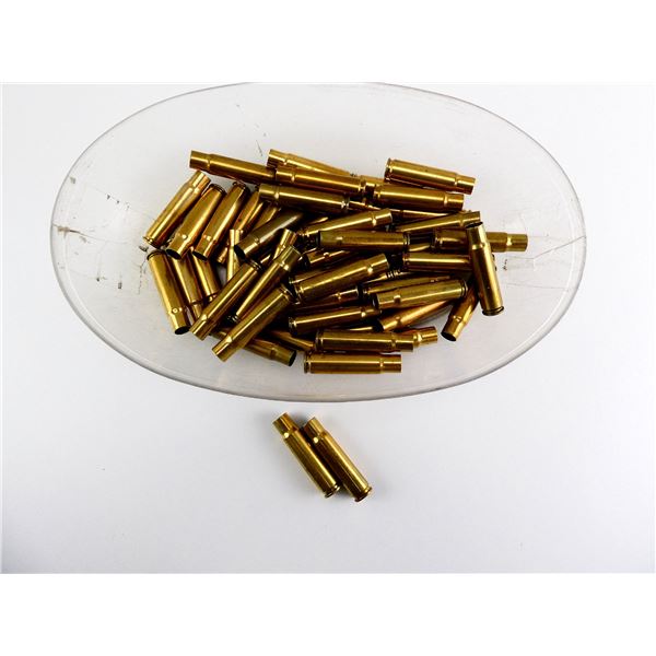 PRIMED AND NON-PRIMED ASSORTED .338 WIN BRASS CASES LOT