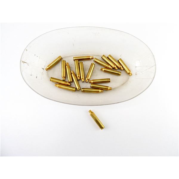 NEW PRIMED REMINGTON .204 RUGER BRASS CASES LOT