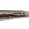 Image 5 : SAVAGE 99 FOREND LOT