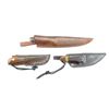 Image 6 : ASSORTED CAPING / FILLET / HUNTING KNIFE LOT