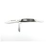 Image 2 : BUCK KNIVES FOLDING KNIFE WITH 3 BLADES