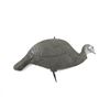Image 1 : TURKEY DECOY