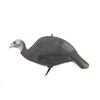 Image 2 : TURKEY DECOY