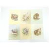 Image 3 : ASSORTED QUAKER OATS COLLECTION WILDLIFE PRINTS LOT