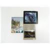 Image 2 : ASSORTED FISHING BOOKS LOT