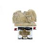 Image 1 : C-TAC RIFLEMAN'S VEST & VALKEN MASK LOT