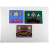 Image 1 : ASSORTED WWII CANADIAN MILITARY BADGES LOT