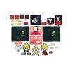 Image 1 : ASSORTED MILITARY BADGES, EPAULETS, RANK CHEVRONS, ETC. LOT