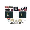 Image 2 : ASSORTED MILITARY BADGES, EPAULETS, RANK CHEVRONS, ETC. LOT