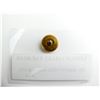 Image 3 : U.S. LEHIGH VALLEY RAILROAD BUTTON WITH PAPERWORK