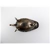 Image 5 : CHINESE MILITARY TRAVELING WINE LADLE