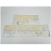 Image 7 : ASSORTED MILITARY STYLE / MODERN MADE MAP CASES WITH MAPS LOT