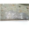 Image 3 : WWI IMPERIAL RUSSIAN MPL-50 ENTRENCHING TOOL