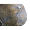Image 3 : UNKNOWN MILITARY POSSIBLY RADOM HOLSTER