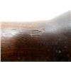 Image 5 : WWII CANADIAN INGLIS SHOULDER STOCK
