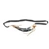 Image 2 : BLACK POWDER HORN