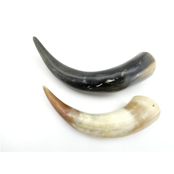 ASSORTED BLACK POWDER HORN LOT