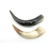 Image 1 : ASSORTED BLACK POWDER HORN LOT