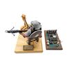Image 4 : ASSORTED ARBALIST / CATAPULT MODELS LOT