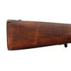 Image 13 : UNKNOWN AUSTRIAN | Model: Sporter | Caliber: 12 G