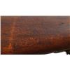 Image 15 : UNKNOWN AUSTRIAN | Model: Sporter | Caliber: 12 G