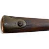 Image 19 : UNKNOWN AUSTRIAN | Model: Sporter | Caliber: 12 G
