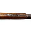 Image 19 : UNKNOWN MAKER | Model: Musket Sporter | Caliber: .74 CAL