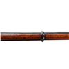 Image 16 : CANADIAN SNIDER ENFIELD | Model: MKII* 3 Band | Caliber: .577 SNIDER