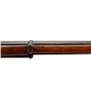 Image 15 : BRITISH ENFIELD | Model: 1856 Cavalry Carbine | Caliber: .577