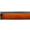 Image 10 : SWISS VETTERLI | Model: 1889 | Caliber: .41 SWISS RF