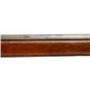 Image 10 : GERMAN MAUSER | Model: 71 Rifle | Caliber: .43 MAUSER