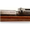 Image 16 : GERMAN MAUSER | Model: 71 Rifle | Caliber: .43 MAUSER