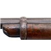 Image 12 : CANADIAN SNIDER ENFIELD | Model: MK3 Sporter | Caliber: .577 SNIDER