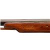 Image 10 : UNKNOWN BRITISH | Model: Fowler | Caliber: 20 G