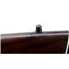 Image 15 : UNKNOWN MAUSER | Model: 98 Sporter | Caliber: .243 WIN