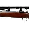 Image 6 : UNKNOWN MAUSER | Model: 98 Sporter | Caliber: .243 WIN