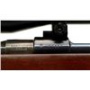Image 7 : UNKNOWN MAUSER | Model: 98 Sporter | Caliber: .243 WIN