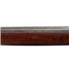 Image 12 : DUTCH BOUMONT | Model: 1871/88 Infantry Rifle | Caliber: 11 X 52R DB