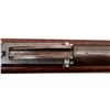 Image 19 : DUTCH BOUMONT | Model: 1871/88 Infantry Rifle | Caliber: 11 X 52R DB