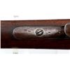 Image 20 : DUTCH BOUMONT | Model: 1871/88 Infantry Rifle | Caliber: 11 X 52R DB