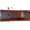 Image 21 : DUTCH BOUMONT | Model: 1871/88 Infantry Rifle | Caliber: 11 X 52R DB