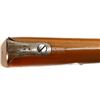 Image 17 : SWEDISH MAUSER  | Model: 1896 | Caliber: 6.5 X 55