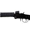 Image 6 : CHIAPPA | Model: Little Badger | Caliber: .22 LR