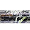 Image 9 : REMINGTON | Model: 11-87 Sportsman | Caliber: 20 G X 3"